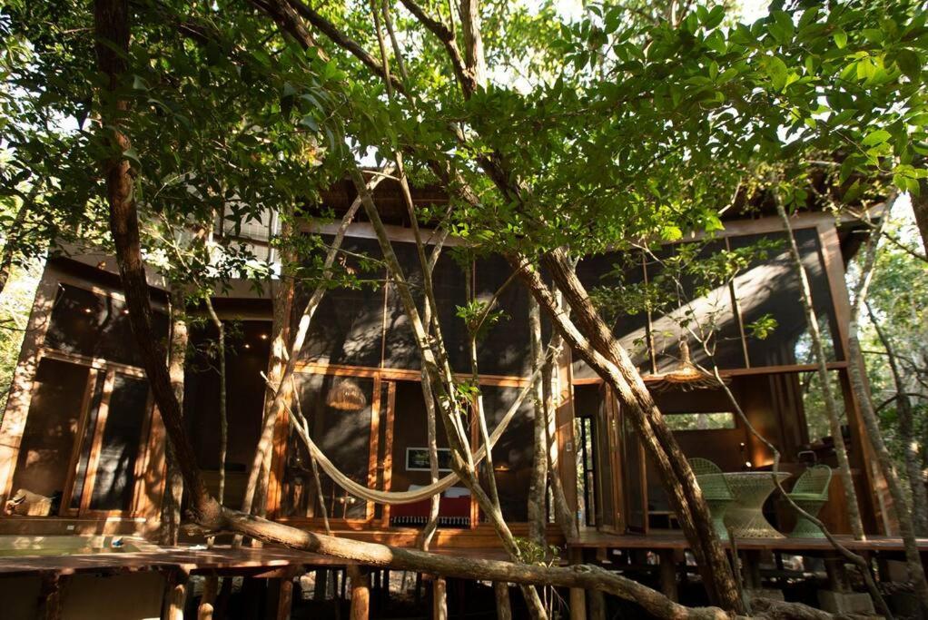 Ojo De Arbol, Boutique Cabin In The Real Jungle Tulum Exterior photo